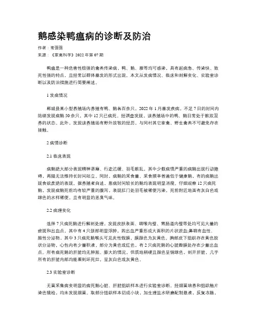 鹅感染鸭瘟病的诊断及防治