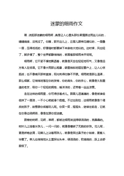 迷蒙的细雨作文