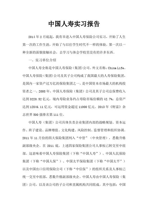 中国人寿论文