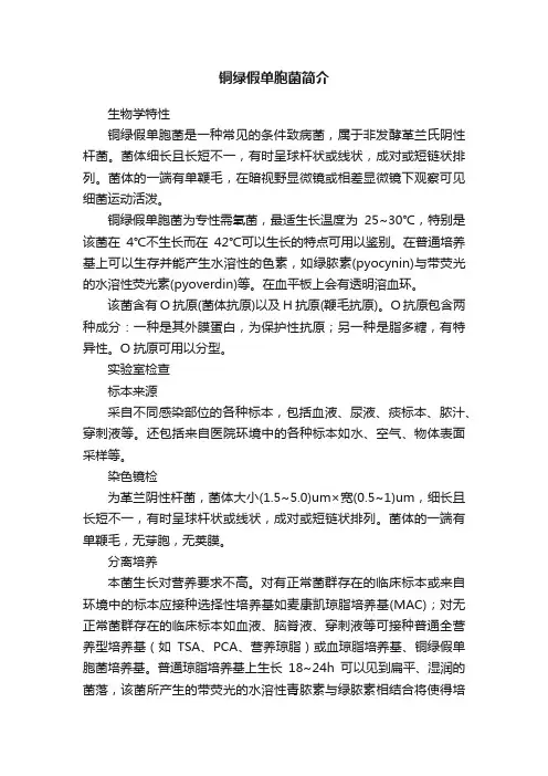铜绿假单胞菌简介