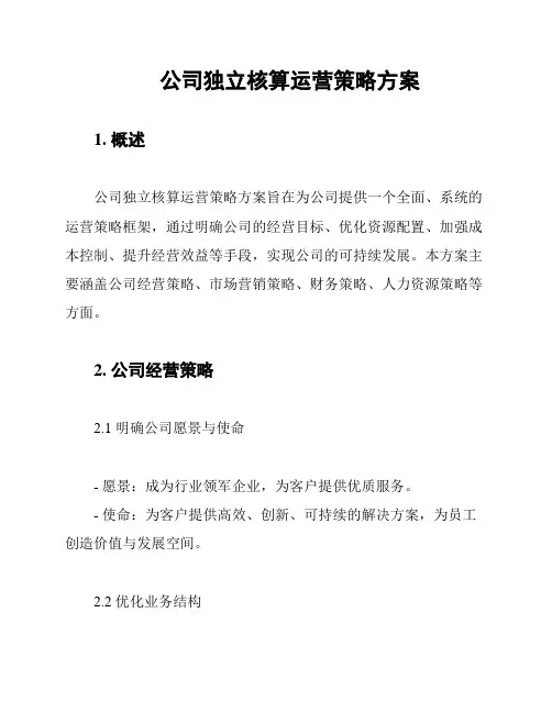 公司独立核算运营策略方案