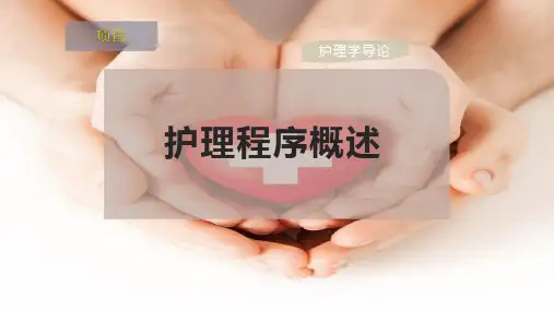 护理程序概述
