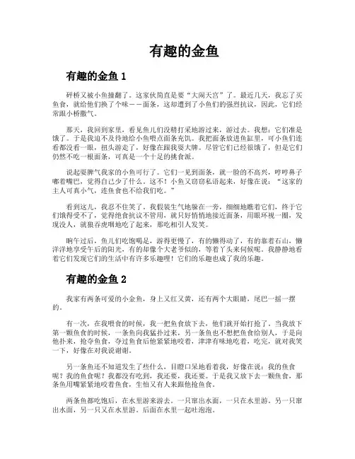 有趣的金鱼