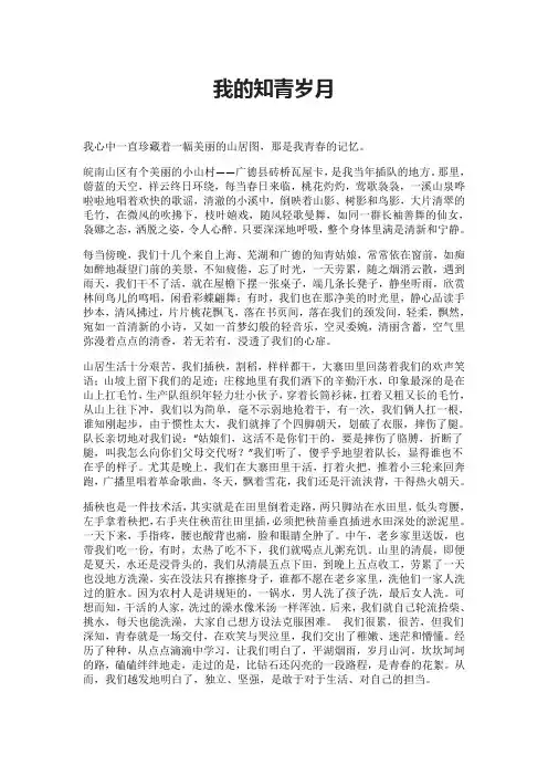 我的知青岁月