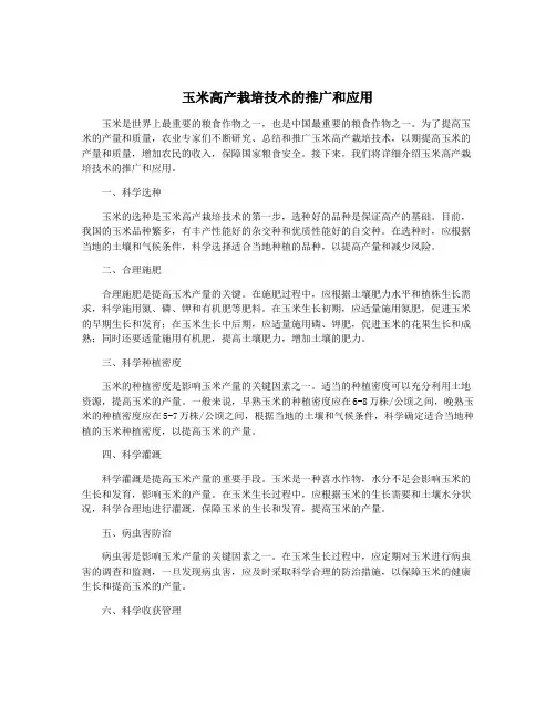 玉米高产栽培技术的推广和应用