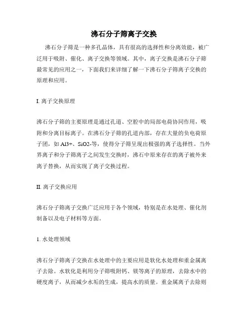 沸石分子筛离子交换