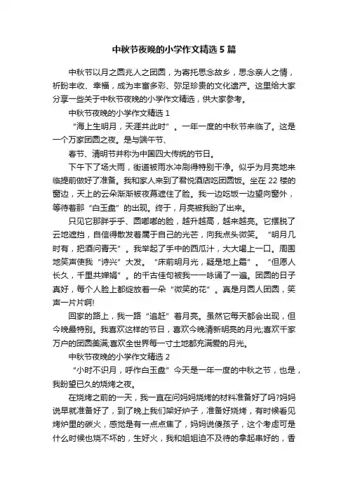 中秋节夜晚的小学作文精选5篇