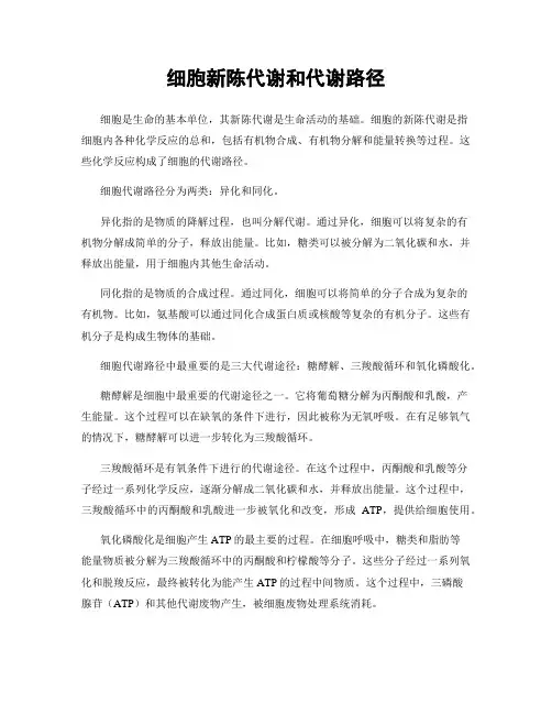 细胞新陈代谢和代谢路径