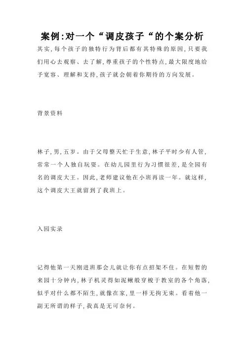 案例-对一个“调皮孩子“的个案分析