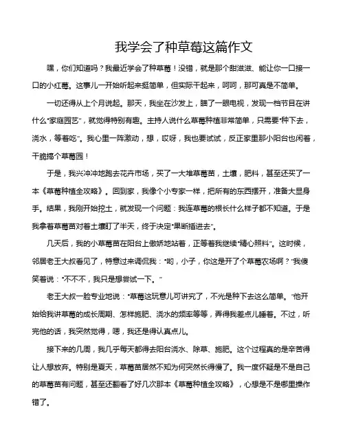 我学会了种草莓这篇作文
