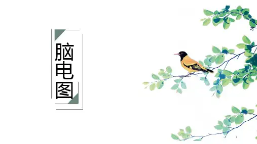 脑电图PPT课件