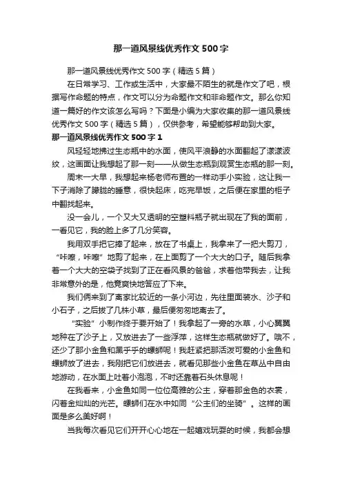 那一道风景线优秀作文500字（精选5篇）