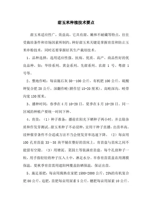 甜玉米种植技术要点
