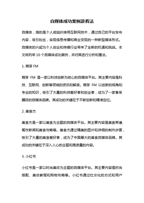 自媒体成功案例及看法