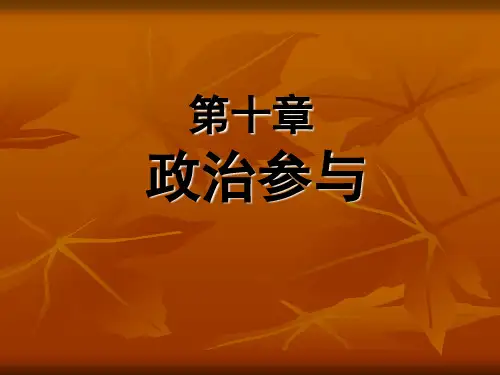 第十章__政治参与