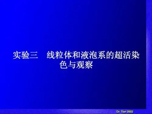 2009年高考福建卷语文试题及参考答案