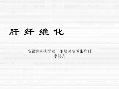 肝纤维化PPT