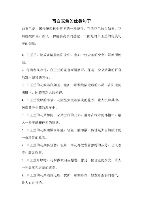写白玉兰的优美句子