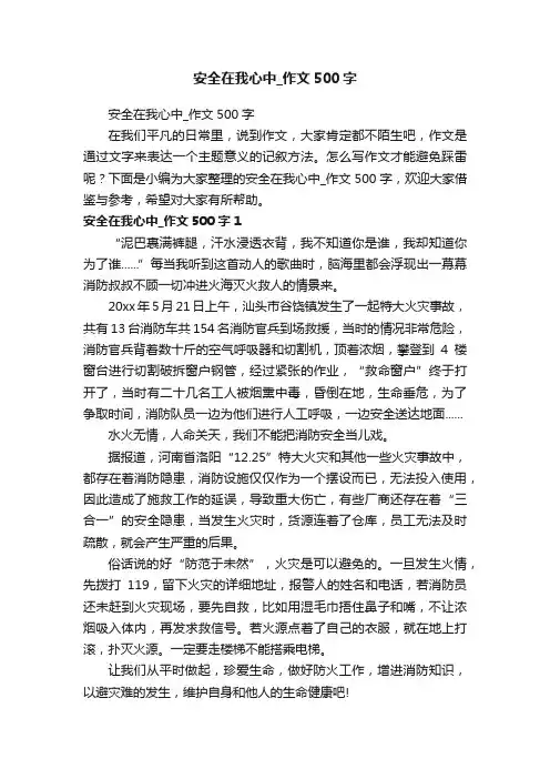 安全在我心中_作文500字