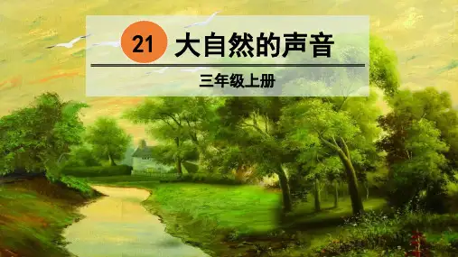 部编版三年级语文上册第21课《大自然的声音》精美教学课件