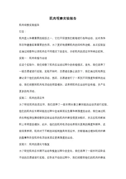 肌肉观察实验报告