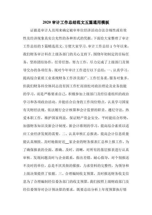 2020审计工作总结范文五篇通用模板