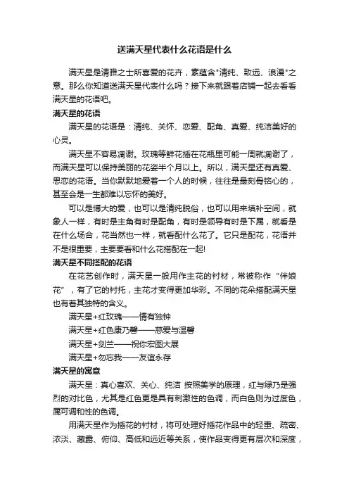 送满天星代表什么花语是什么