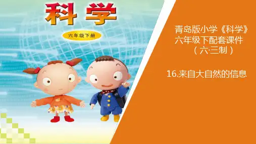 六年级下册科学PPT课件-16.《来自大自然的信息》青岛版 (共20张PPT)