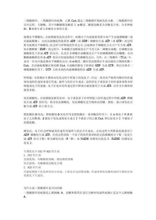 三羧酸循环——精选推荐