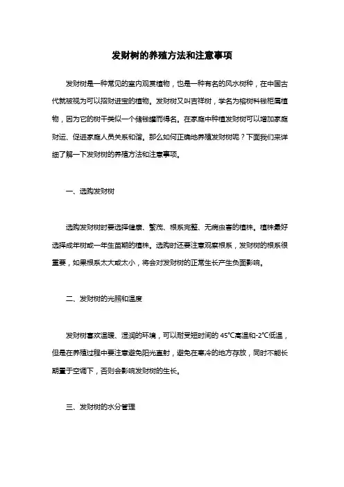 发财树的养殖方法和注意事项
