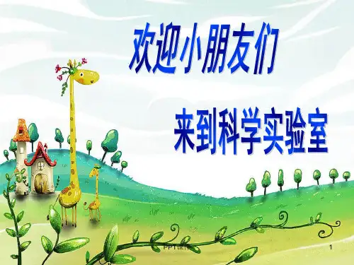 认识骨骼  ppt课件