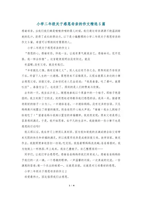 小学二年级关于感恩母亲的作文精选5篇