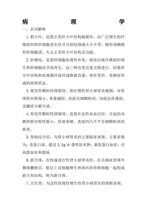 病理学名词解释 