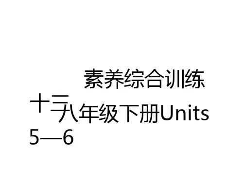 初中中考英语总复习练测课件 教材复习 素养综合训练 八年级下册Units 5—6