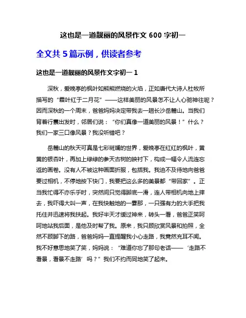 这也是一道靓丽的风景作文600字初一