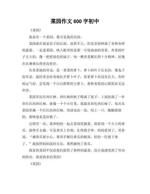 菜园作文600字初中