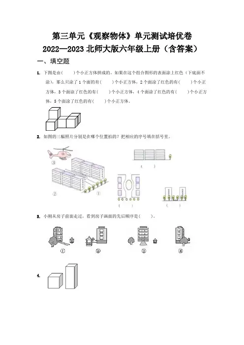 第三单元《观察物体》单元测试培优卷   2022—2023北师大版六年级上册(含答案)