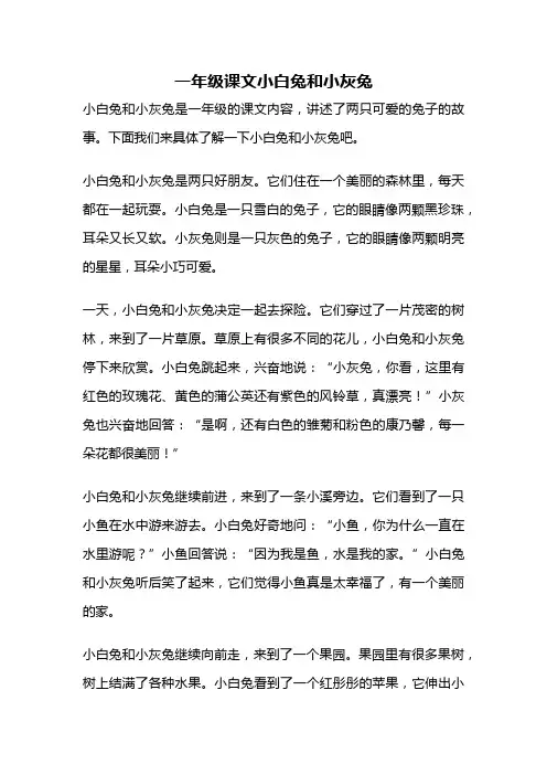 一年级课文小白兔和小灰兔