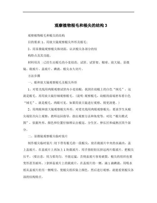 观察植物根毛和根尖的结构3