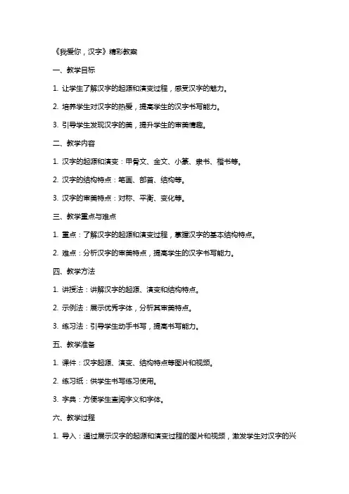 《我爱你,汉字》精彩教案