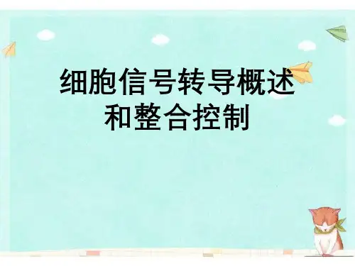 细胞信号转导概述与整合控制