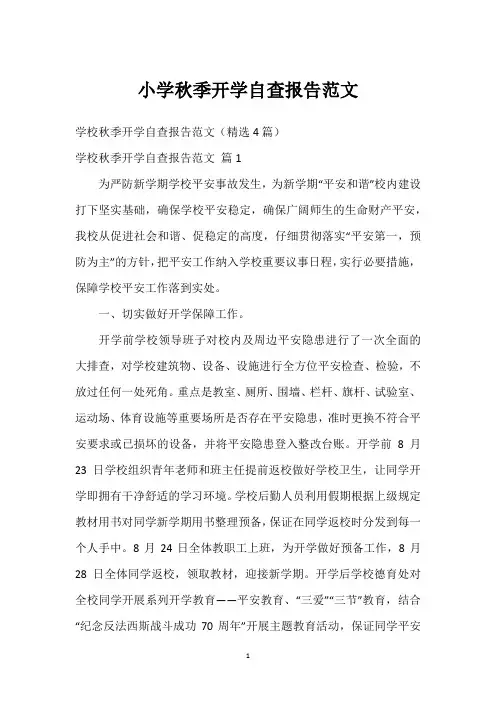 小学秋季开学自查报告范文
