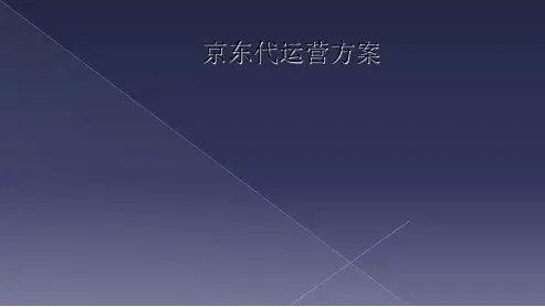 京东代运营方案