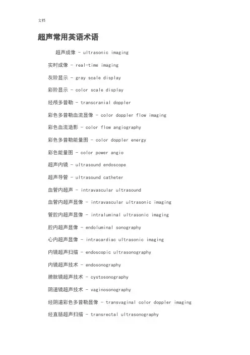 超声常用英语术语