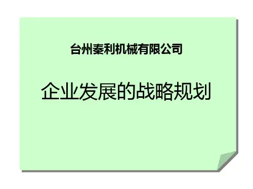 企业发展战略规划(ppt_151)