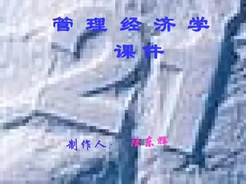管理经济学