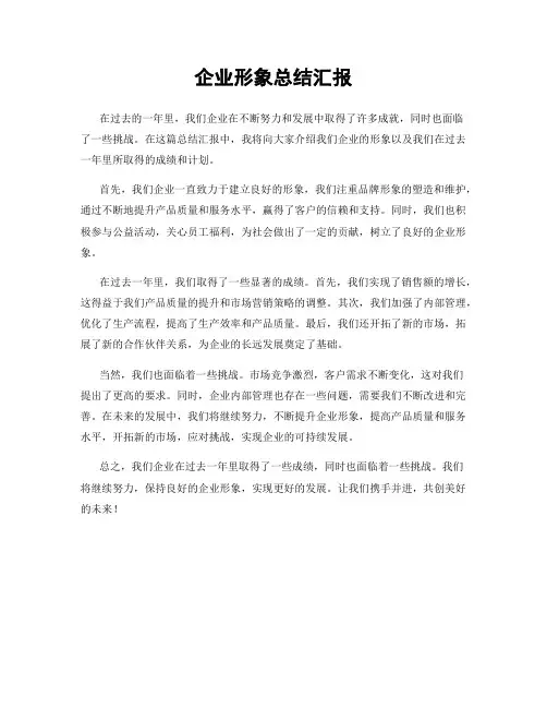 企业形象总结汇报
