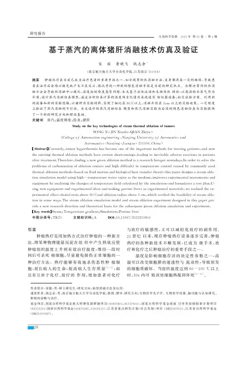 基于蒸汽的离体猪肝消融技术仿真及验证