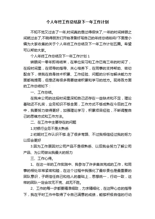 个人年终工作总结及下一年工作计划