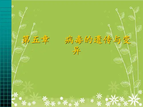 病毒的遗传与变异(2)